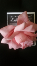 Lila Jo Rose in Light Pink.
