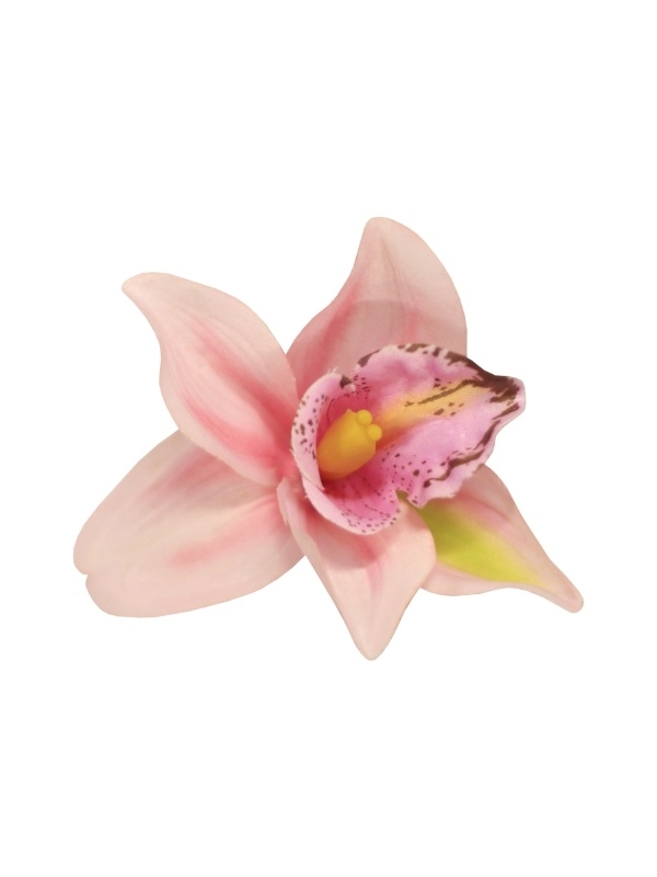 Collectif, Orchid Pinup Hairclip in Pink.