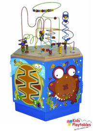 Hape Coral Reef Activiteiten Speelkubus