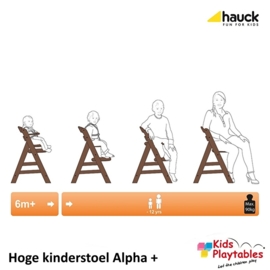 Hoge Kinderstoel Hauck Alpha Plus Walnoot