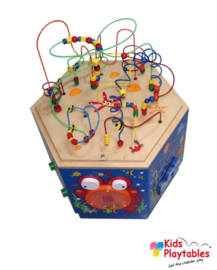 Hape Coral Reef Activiteiten Speelkubus