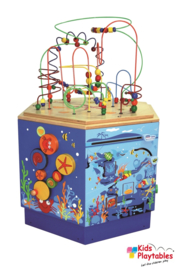 Hape Coral Reef Activiteiten Speelkubus