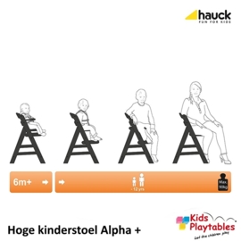 Hoge Kinderstoel Hauck Alpha Plus Black-washed