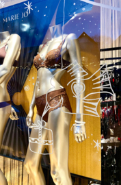 Raamtekening lingeriezaak
