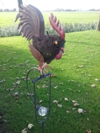 Tuinprikker haan in kleur