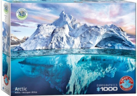 Eurographics 5539 - Save the Planet! Arctic - 1000 stukjes