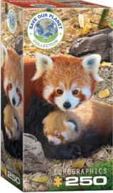 Eurographics 5557 - Red Pandas - 250XL stukjes