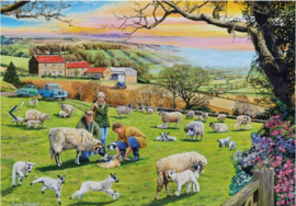 Gibsons 5069 - Call the Vet - 4x500 stukjes