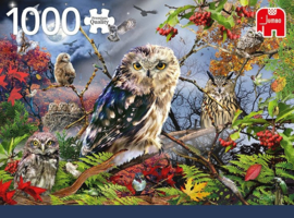 Jumbo - Owls in the Moonlight - 1000 stukjes