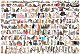 Eurographics  - The World of Cats - 2000 stukjes