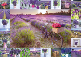 Schmidt - De Geur van Lavendel - 1000 stukjes