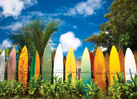 Eurographics 0550 - Surfer's Paradijs Hawaii - 1000 stukjes