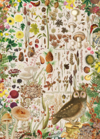 Gibsons 7167 - Fall Flora - 1000 stukjes