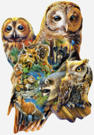 SunsOut 97055 - Forest Owls - 1000 stukjes   Vormpuzzel