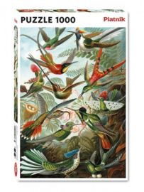 Piatnik Ernst Haeckel - Hummingbirds - 1000 stukjes