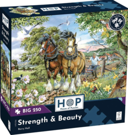 House of Puzzles - Strength & Beauty - 250XL stukjes