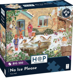 House of Puzzles - No Ice Please - 250XL stukjes