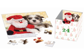 Eurographics - Advent Calendar - Christmas Paws - 24x50 stukjes