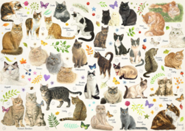 Jumbo - Francien's Katten Poster - 1000 stukjes
