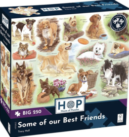 House of Puzzles - Some of Our Best Friends - 250XL stukjes