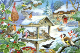 House of Puzzles - Feed the Birds - 250XL stukjes