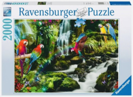 Ravensburger - Bonte Papegaaien in de Jungle - 2000 stukjes