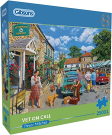 Gibsons 2738 - Vet on Call - 250XL stukjes