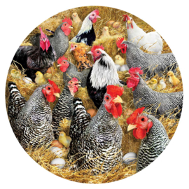 SunsOut 35138 - Chickens and Chicks - 1000 stukjes