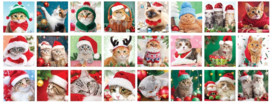 Eurographics - Advent Calendar - Christmas Whiskers - 24x50 puzzels