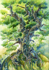 Enjoy 2016 - Tree of Life - 1000 stukjes