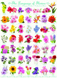 Eurographics 0579 - The Language of Flowers - 1000 stukjes