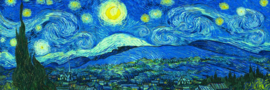 Eurographics Vincent van Gogh  - Starry Night - 1000 stukjes  Panorama