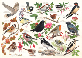 House of Puzzles - Birds in My Garden - 1000 stukjes