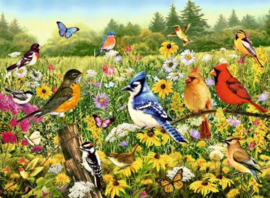 Ravensburger - Vogels in de Wei - 500 stukjes