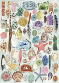 Gibsons 7220 - Naturel Curiosities - 1000 stukjes