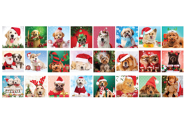 Eurographics - Advent Calendar - Christmas Paws - 24x50 stukjes