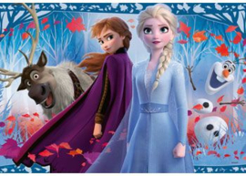 Ravensburger Disney Frozen 2, Reis naar het Onbekende - 2x12 st.