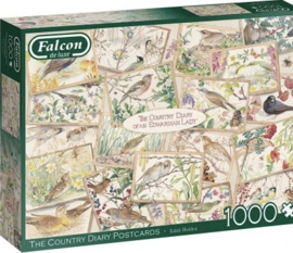 Falcon de Luxe 11336 - The Country Diary Postcards - 1000 st.