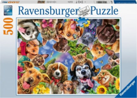 Ravensburger - Dieren Selfie - 500 stukjes