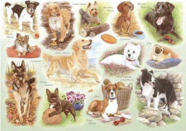 House of Puzzles - Some of Our Best Friends - 250XL stukjes