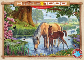 Eurographics 0976 - The Fell Ponies - 1000 stukjes