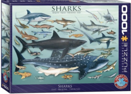 Eurographics 0079 - Sharks - 1000 stukjes