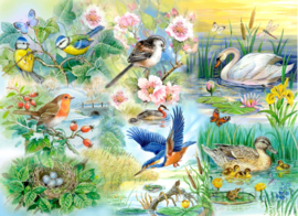 House of Puzzles - Feathered Friends - 250XL stukjes