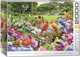 Eurographics - Bird Gathering - 2000 stukjes