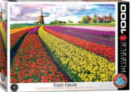 Eurographics 5326 - Tulip Fields Neherlands - 1000 stukjes