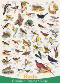 Eurographics 1259 - Birds - 1000 stukjes