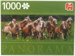 Jumbo - Haflinger Paarden - 1000 stukjes  OP=OP