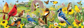Eurographics 5338 - Garden Birds - 1000 stukjes  Panorama