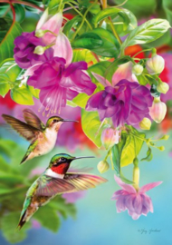 Piatnik - Hummingbirds - 1000 stukjes