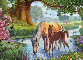 Eurographics 0976 - The Fell Ponies - 1000 stukjes